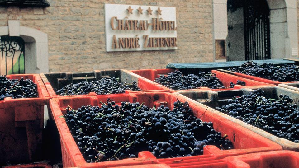 Chateau Du Petit Musigny A Chambolle Eksteriør bilde