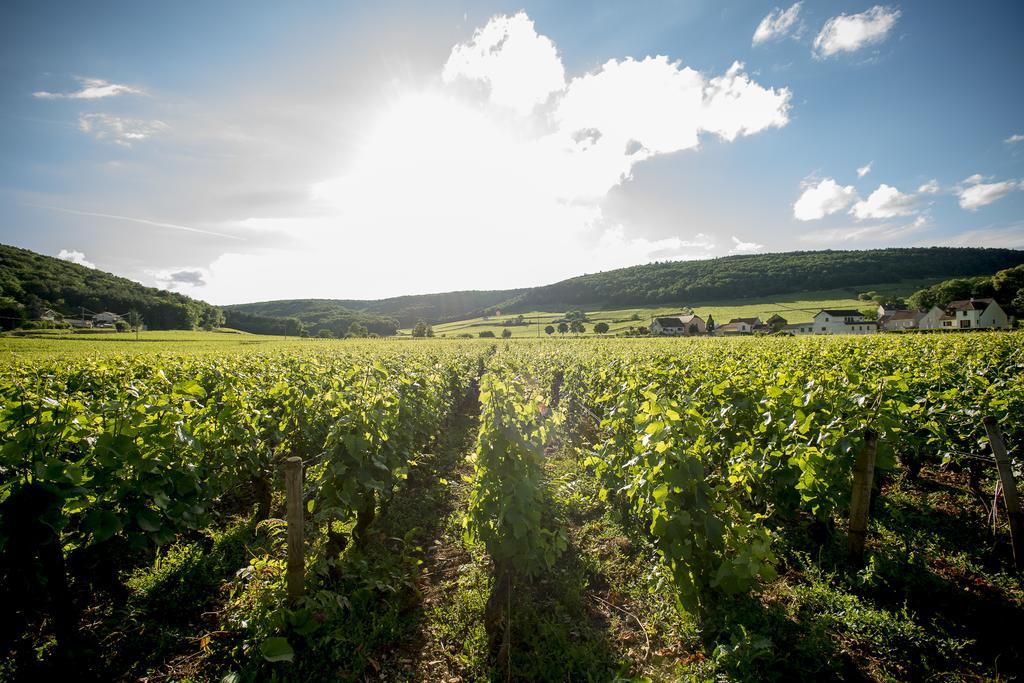 Chateau Du Petit Musigny A Chambolle Eksteriør bilde
