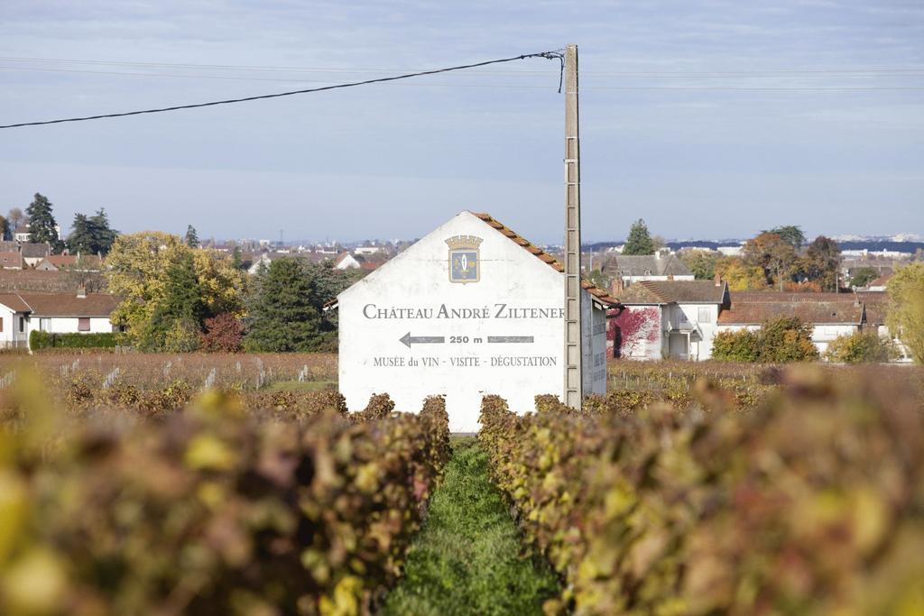 Chateau Du Petit Musigny A Chambolle Eksteriør bilde