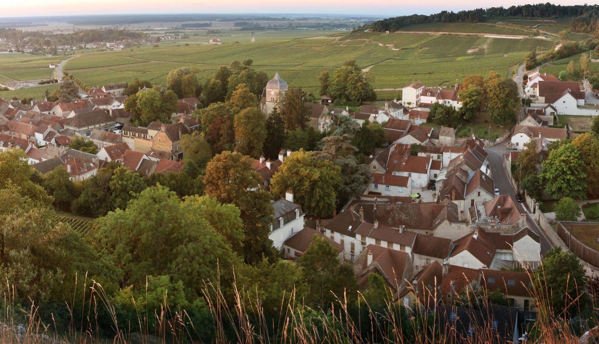 Chateau Du Petit Musigny A Chambolle Eksteriør bilde